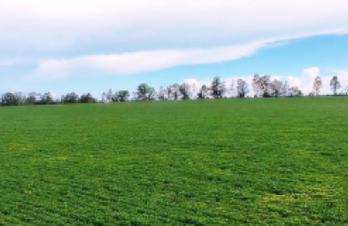 Fazenda para venda em Avaré